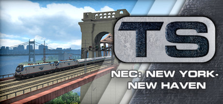 nec new york