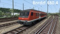 Bnrdzf480.4 nW10.jpg